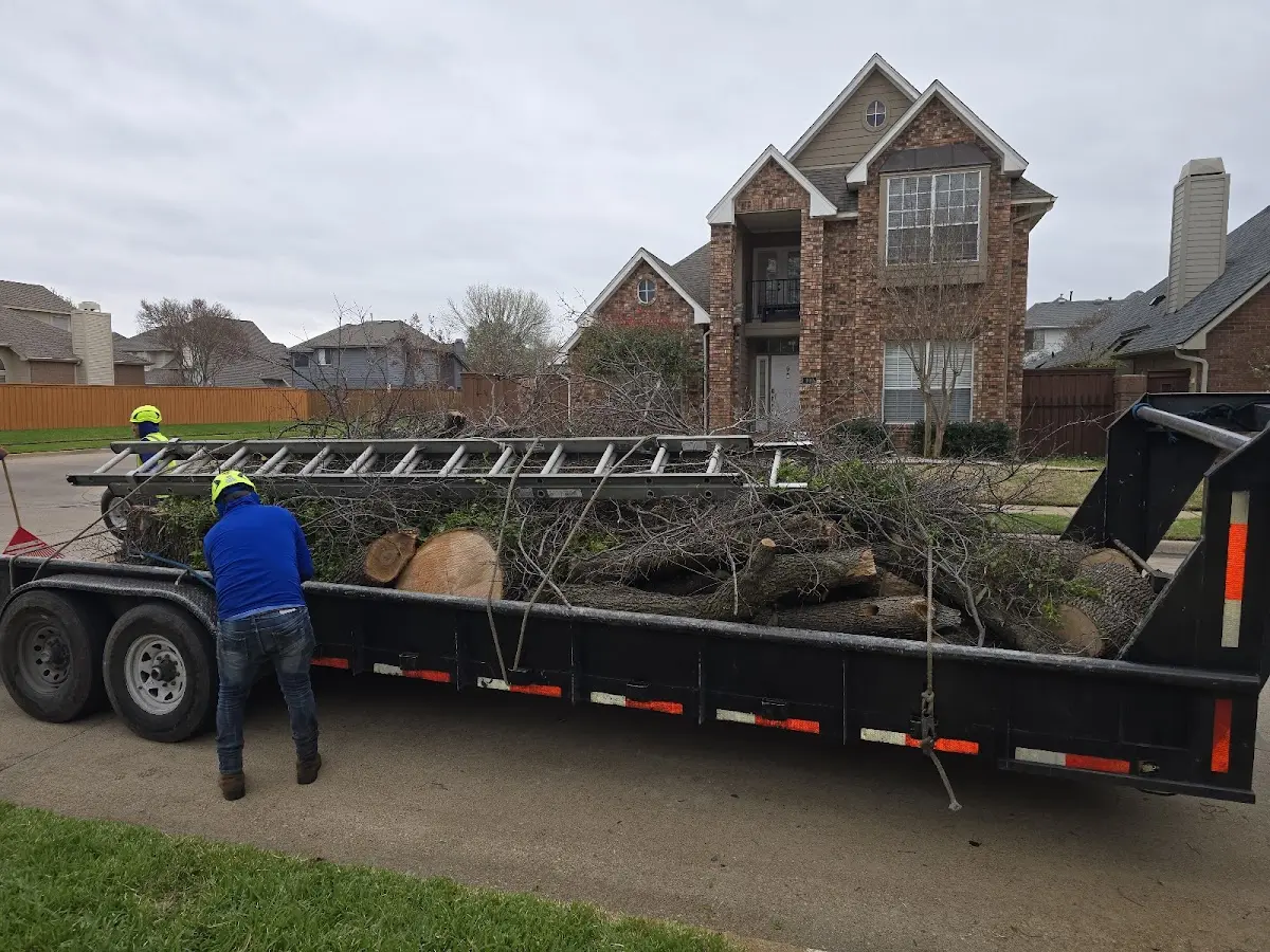 Expert Lot Clearing with proper safety equipment in Kenton